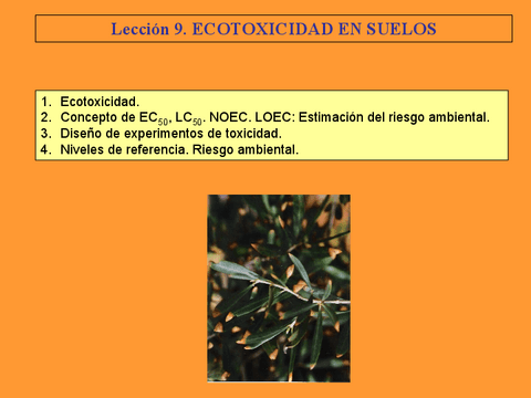 Leccion-9.-Ecotoxicidad.pdf