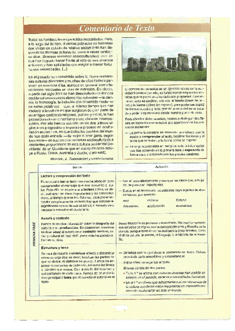 Modelo de comentario.pdf