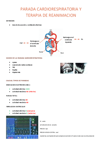 4.-PARADA-CARDIORESPIRATORIA.pdf
