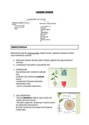 LANDARE-EHUNAK.docx.pdf