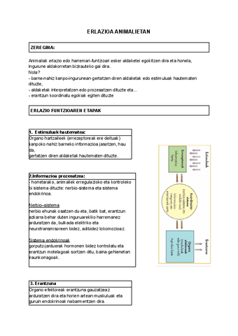 HARREMAN-FUNTZIOA.docx.pdf