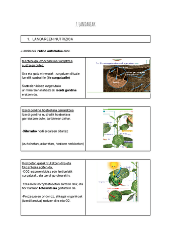 7.-LANDAREAK.docx.pdf