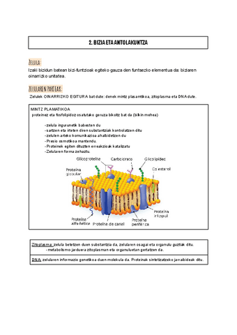 BIZIA-ETA-ANTOLAKUNTZA.docx.pdf