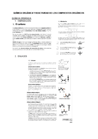 QUIMICA-ORGANICA.docx.pdf