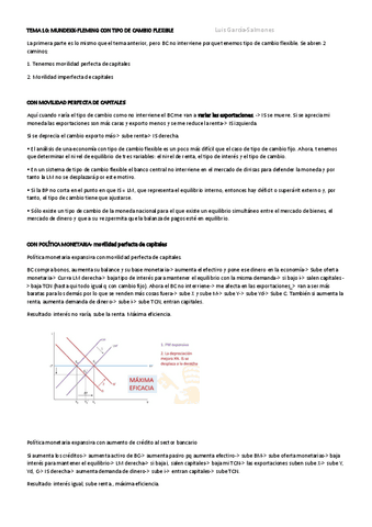 TEMA-10-MACRO-cambio-flexible.pdf