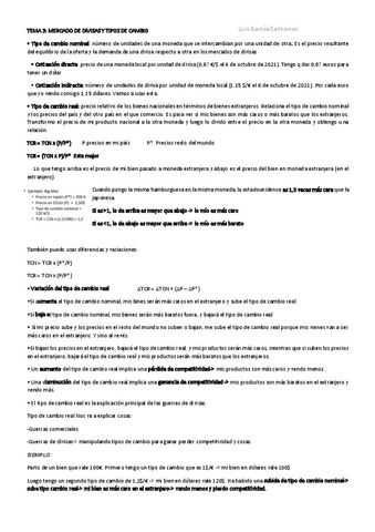 TEMA-3-MACRO-tipo-de-cambio.pdf