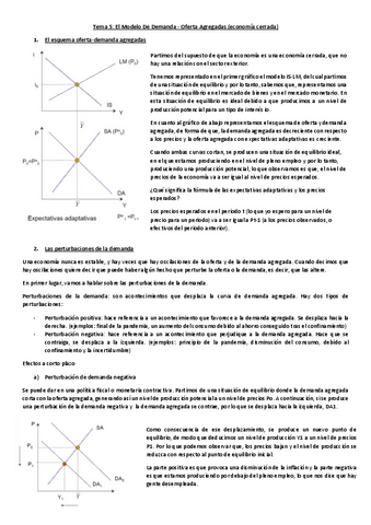 TEMA-5.pdf