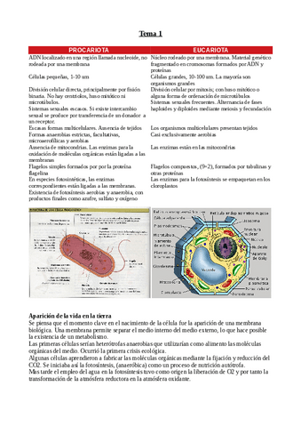 Primer-examen-de-biologia-tema-1-6-y-8.pdf