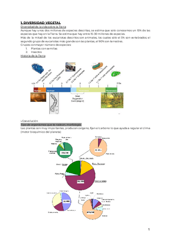 TEMA-1-1.pdf