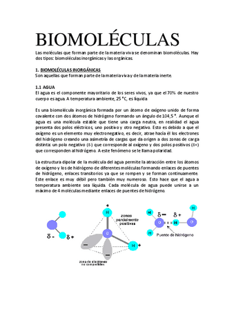 TEMA-2-BIOMOLECULAS.pdf