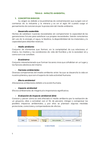 TEMA 6 (IMPACTO AMBIENTAL).pdf