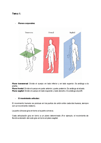 Anatomia-Temas-1-y-2.pdf