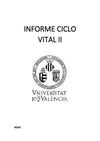 Informe-ciclo-vital-2.pdf