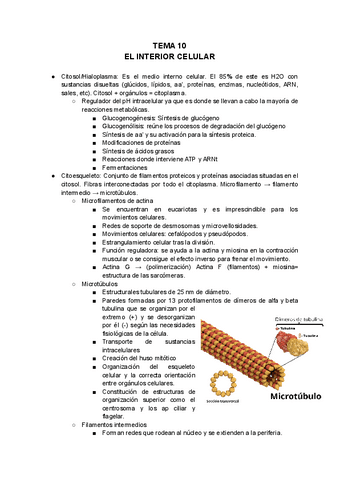 TEMA-10-INTERIOR-CELULAR.pdf