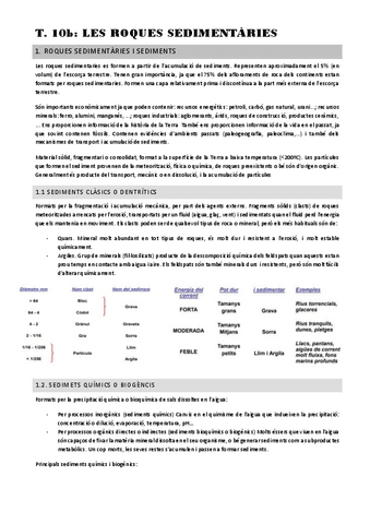 tema-10b.-les-roques-sedimentaries.pdf