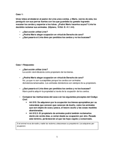 Casos-romano.pdf