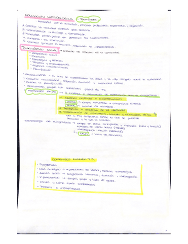Metodologias-tecnicas-e-instrumentos.-Resumen-T3-Carmen-Delia.pdf