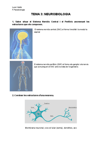 TEMA-3-NEUROBIOLOGIA.pdf