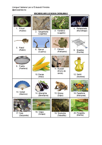 vocabulari-solucionari.pdf