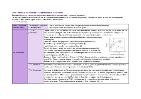 Ud6-tecnicas-citoquimicas.pdf