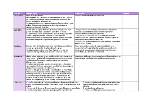 Ud6-Morfologia-y-funciones-leucocitos.pdf
