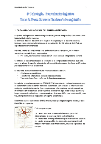 Tema-2.-Neurociencia-Cognitiva.pdf