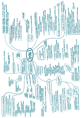 ESQUEMAS-vertical-PSICOPATOLOGIA-TEMAS-1-5.pdf