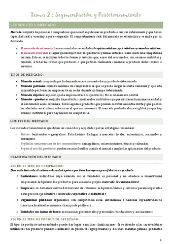Tema-2-Segmentacion-y-posicionamiento.pdf