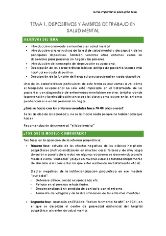 TEMA-1.-DISPOSITIVOS-Y-AMBITOS-DE-TRABAJO-EN-SALUD-MENTAL.pdf