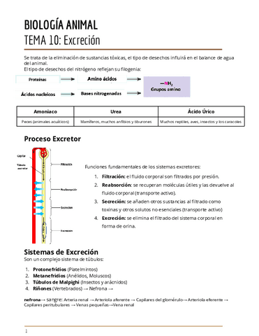 TEMA-10.2.pdf