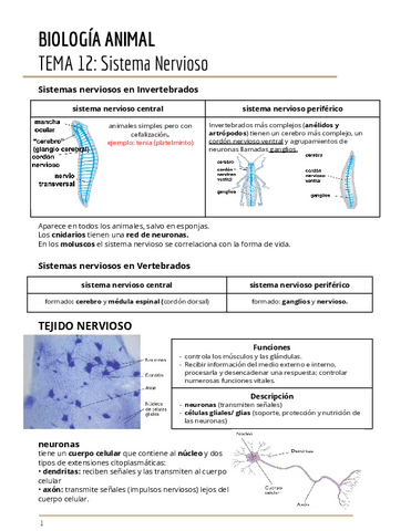 TEMA-12.-II.pdf