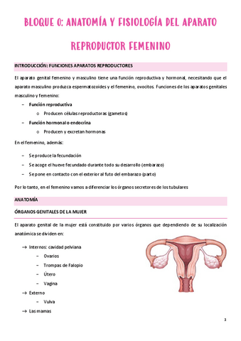 Bloque-0-anatofisiologia-aparato-reproductor.pdf