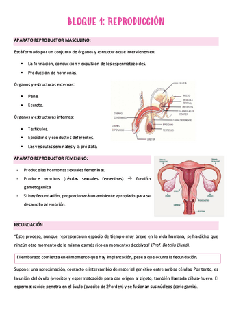 BLOQUE-1-REPRODUCCION.pdf