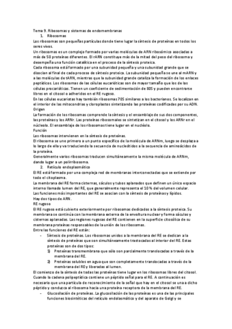 tema-9.pdf