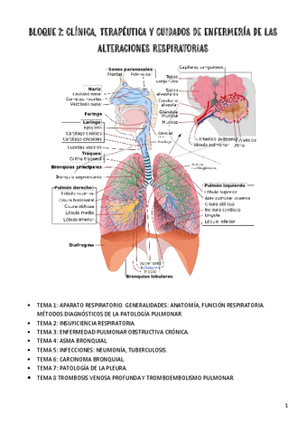 2.-Aparato-respiratorio-1.pdf