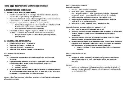 Tema-1-gine-resumen.pdf