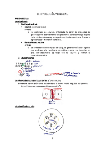 Histologia-Vegetal-Isaac-Antolin.pdf