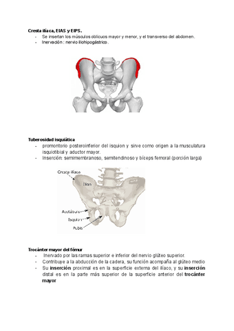 Palpatoria-examen.pdf