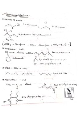 Formulario.pdf