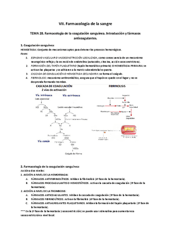 VII.pdf