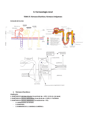 X.pdf