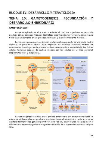 BIOPATO-PARTE-4-DE-4.pdf