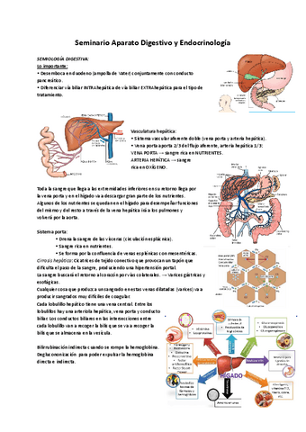 Seminario-aparato-digestivo-y-endocrinologia.pdf