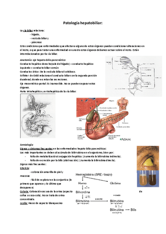 Patologia-hepatobiliopancreatica.pdf