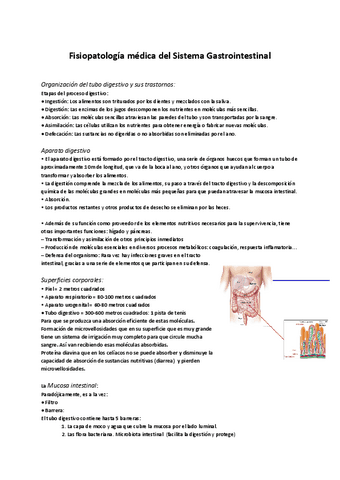 Sistema-Gastrointestinal.pdf