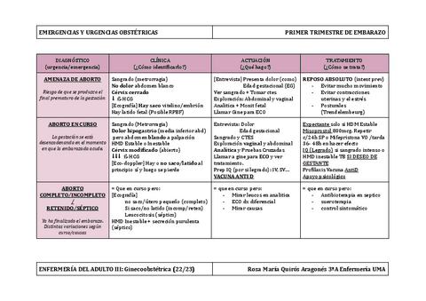 ECOES-E-U-OBSTETRICAS-1o-TRIMESTRE.pdf