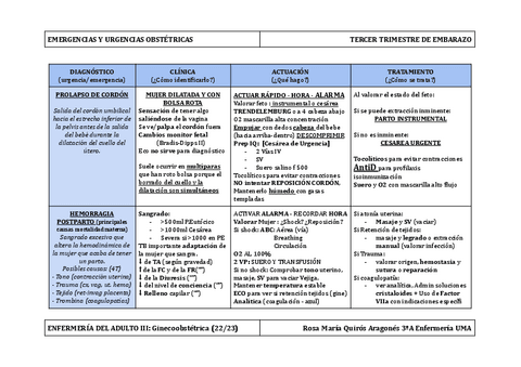 ECOES-E-U-OBSTETRICAS-3º TRIMESTRE-POSTPARTO.pdf