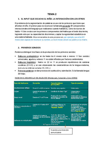 TEMA-2.pdf