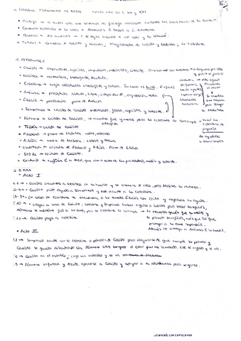 RESUMEN-La-Celestina.pdf