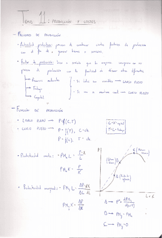 TEMA-11.-PRODUCCION-Y-COSTES.pdf